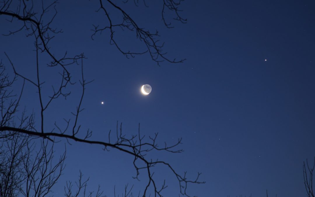 See the moon, Venus and Regulus in a rare triple conjunction tomorrow