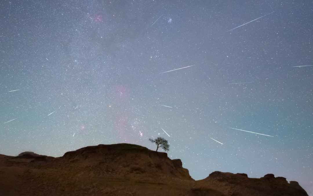 The Orionid meteor shower 2025 has begun! See Halley’s Comet spark shooting stars this October