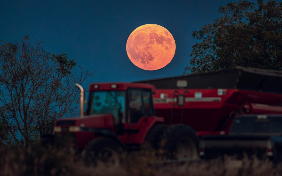 Why 2025’s Harvest Moon is a rare October full moon