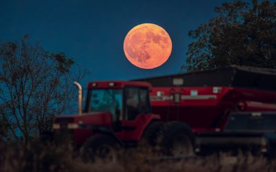 Why 2025’s Harvest Moon is a rare October full moon