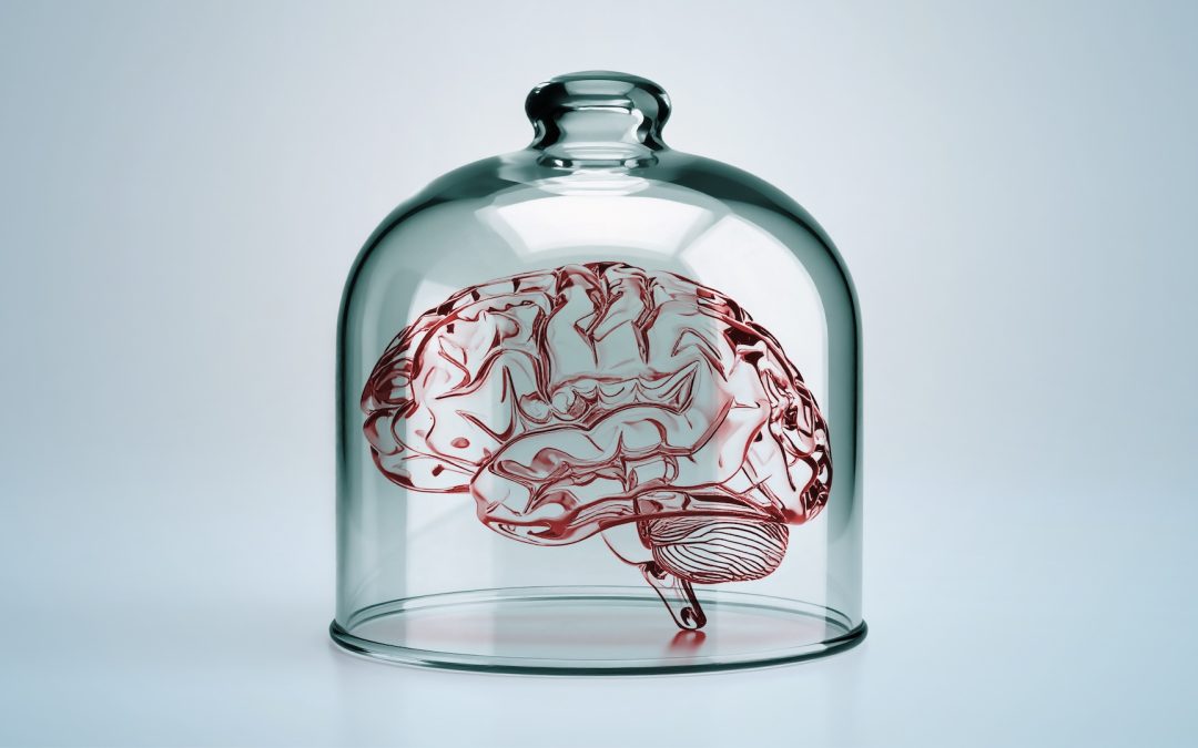 Tiny ‘brains’ grown in the lab could become conscious and feel pain — and we’re not ready