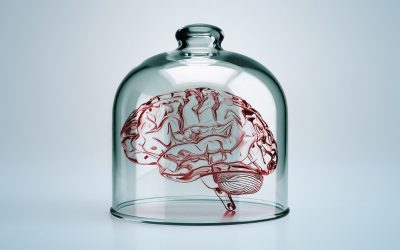 Tiny ‘brains’ grown in the lab could become conscious and feel pain — and we’re not ready