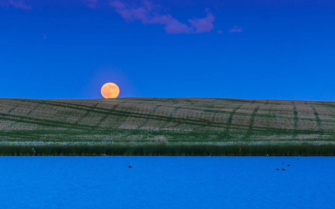When is the next full moon?
