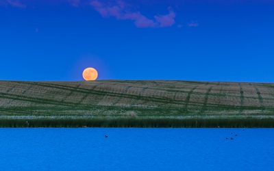 When is the next full moon?
