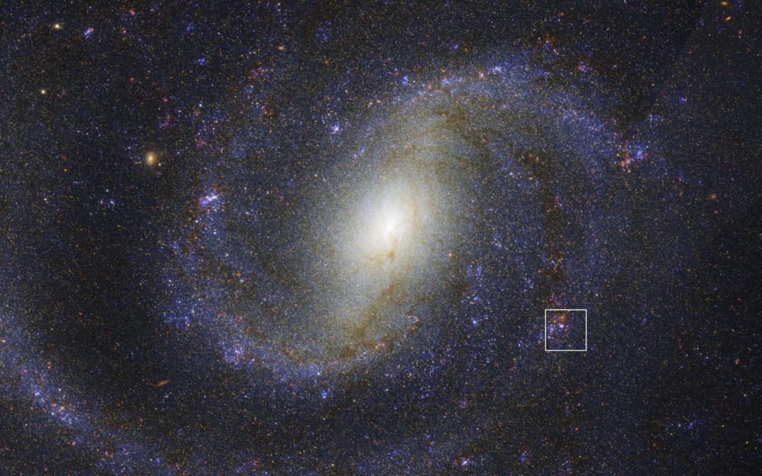 Hidden ‘doomed’ star revealed by James Webb Space Telescope could solve decades-old mystery