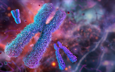 Gene on the X chromosome may help explain high multiple sclerosis rates in women