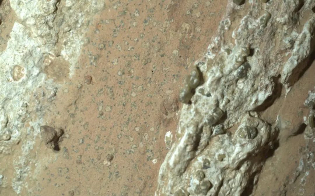 ‘The metal detector has gone off’: Perseverance rover’s find is a shiny new clue in the search for life on Mars