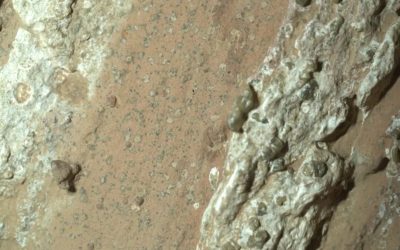 ‘The metal detector has gone off’: Perseverance rover’s find is a shiny new clue in the search for life on Mars