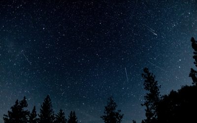 Don’t miss the Orionid meteor shower peak begin overnight tonight under a moonless sky