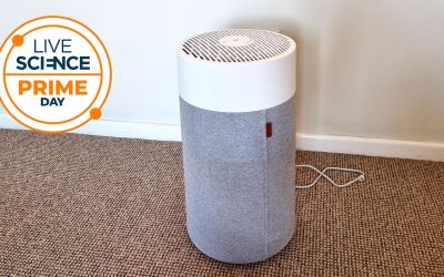 Our favorite budget air purifier is now less than $95 in the Prime Day sale