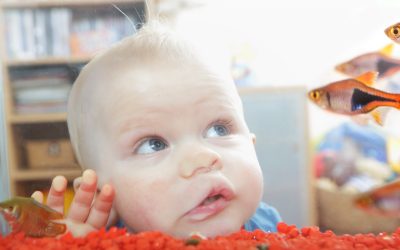 A baby suddenly started to smell of rotting fish