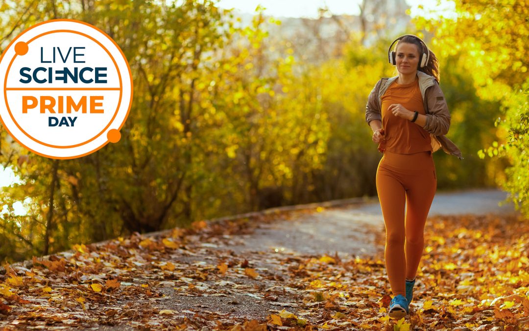 Bored of waiting for Black Friday fitness deals? Us too! Here are 7 discounts for those who can’t wait