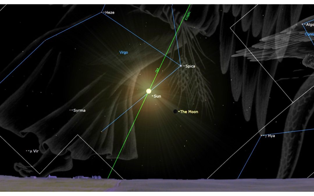 New moon of October 2025 hides red star Antares for some lucky stargazers tonight