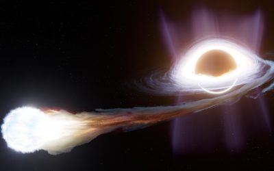 Rule-breaking black hole destroys star in puzzling way: ‘This is truly extraordinary’