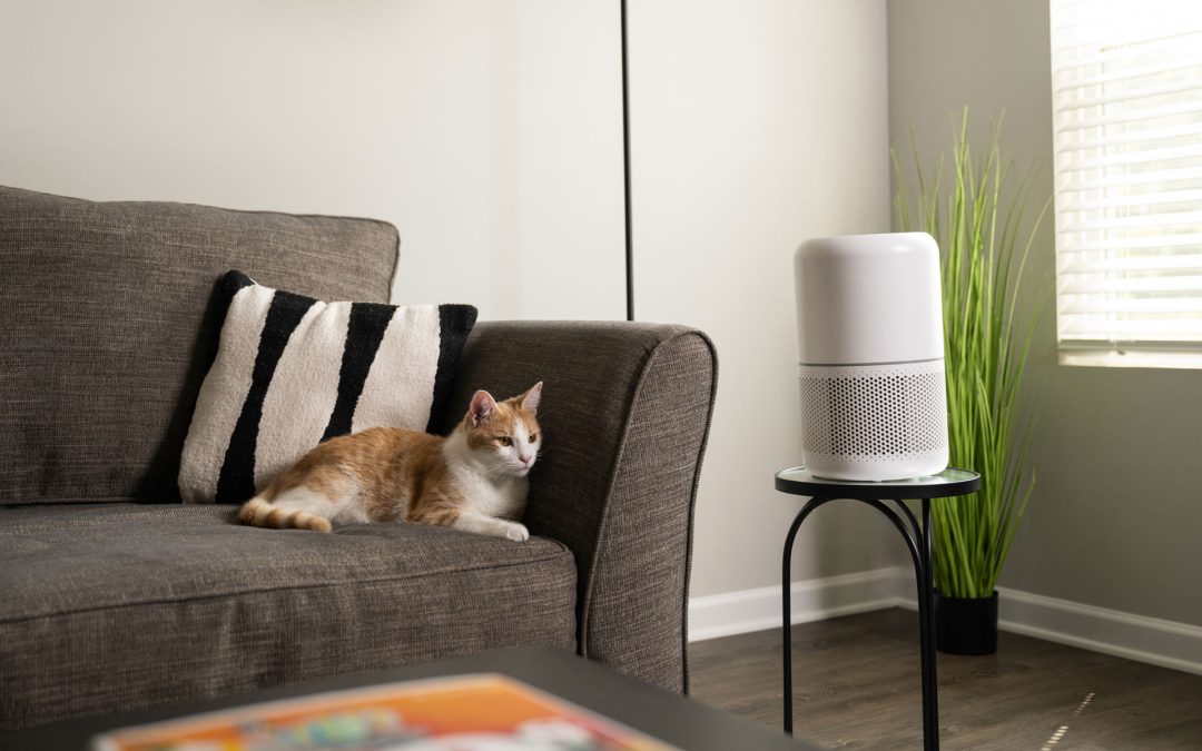 Best air purifiers for allergies 2025: Breathe easy this winter