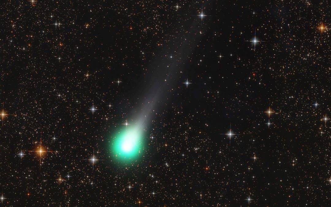 Comets Lemmon and SWAN reach their brightest this week