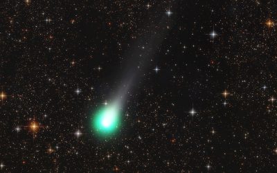 Comets Lemmon and SWAN reach their brightest this week