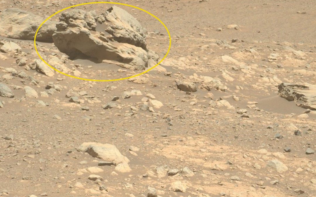 Odd-looking rock on Mars is totally alien to the Red Planet, Perseverance rover finds