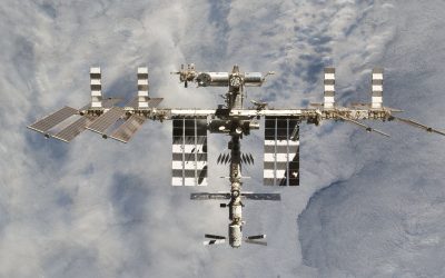 ‘We were genuinely astonished’: This moss survived 9 months outside the International Space Station and could still grow on Earth