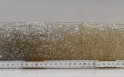 Scientists discover oldest air on record trapped in 6-million-year-old Antarctic ice