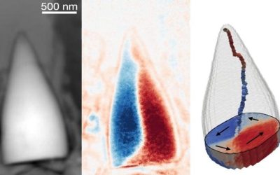 Scientists discover ancient magnetic fossils of unknown creature with internal GPS