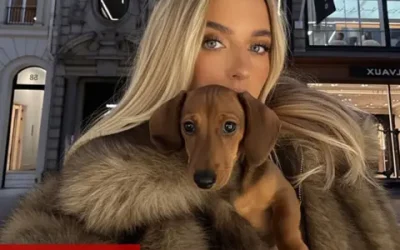 No, your favourite influencer hasn’t got a dozen dachshund dogs. It’s just AI