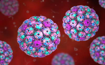 Widespread cold virus you’ve never heard of may play key role in bladder cancer