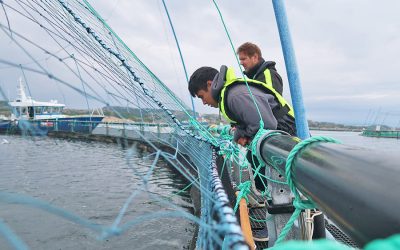 MIT Sea Grant students explore the intersection of technology and offshore aquaculture in Norway