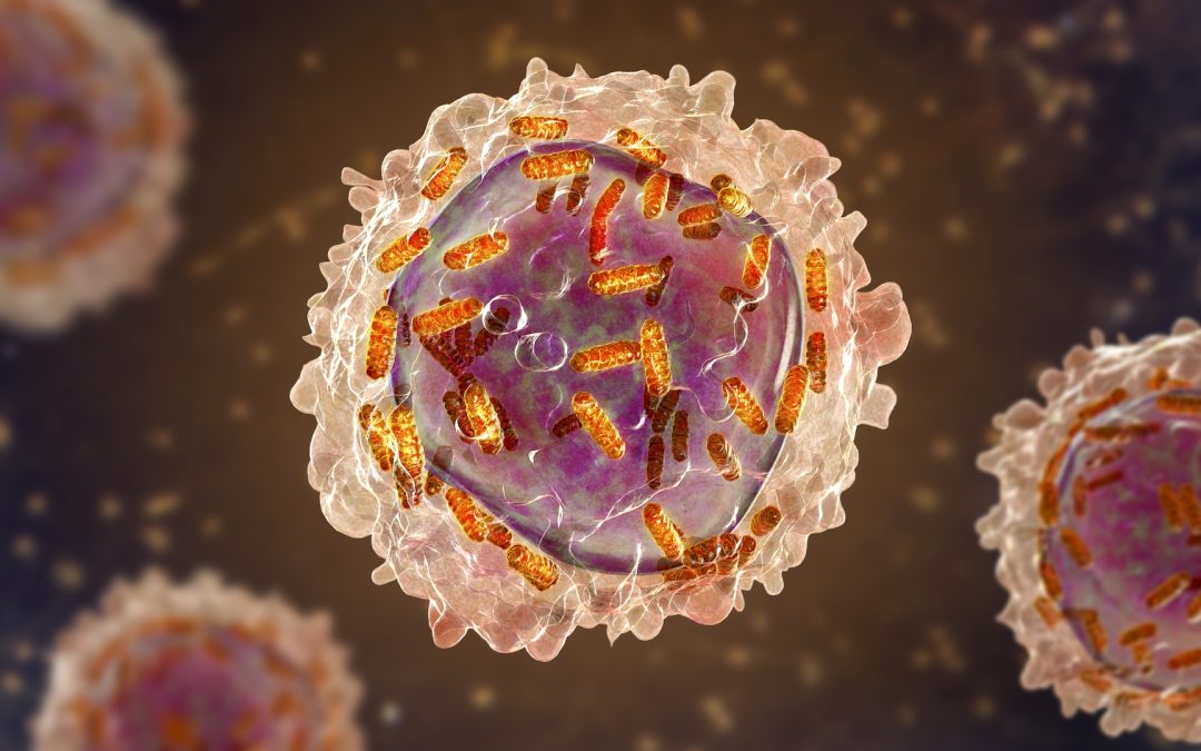 Science history: Female chemist initially barred from research helps helps develop drug for remarkable-but-short-lived recovery in children with leukemia — Dec. 6, 1954