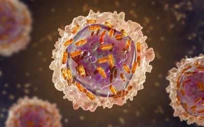 Science history: Female chemist initially barred from research helps helps develop drug for remarkable-but-short-lived recovery in children with leukemia — Dec. 6, 1954