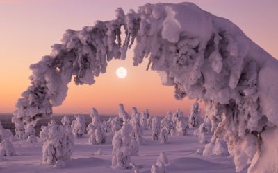 When does winter start? Your guide to the 2025 winter solstice.