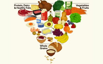 New US food pyramid recommends very high protein diet, beef tallow as healthy fat option, and full-fat dairy