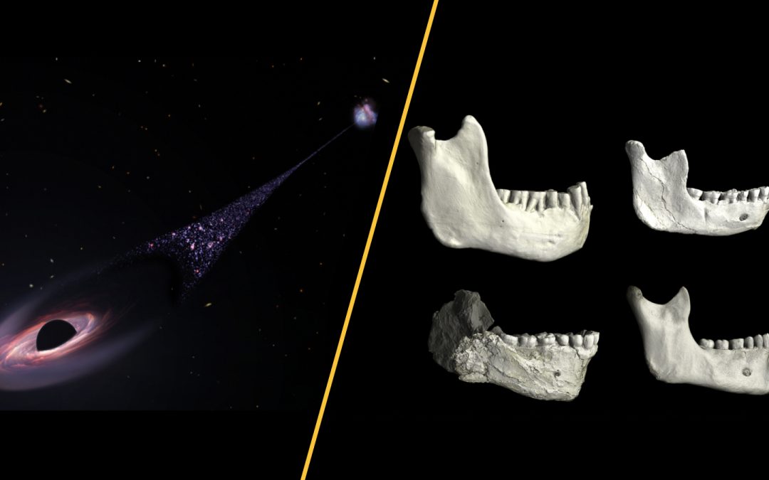 A runaway black hole, a human ancestor discovered in Casablanca cave, and vaccine schedule slashed