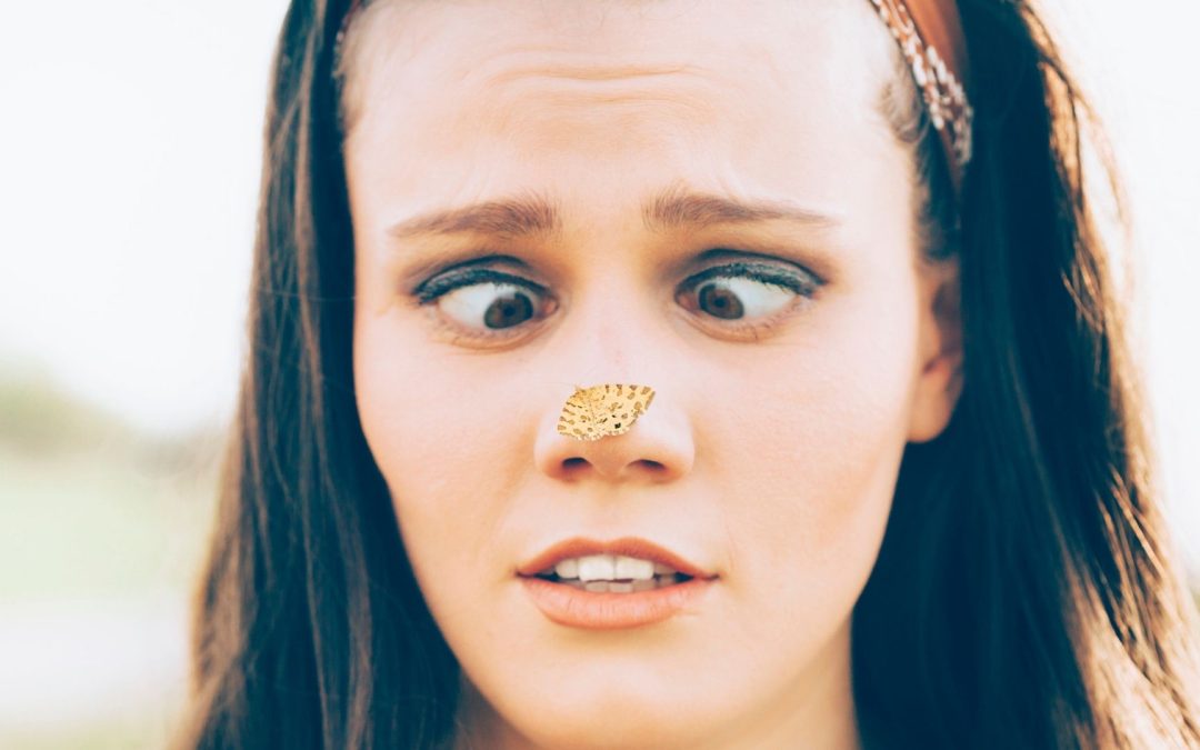 Why don’t you usually see your nose?