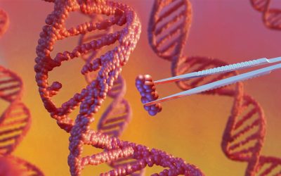 From gene therapy breakthroughs to preventable disease outbreaks: The health trends that will shape 2026