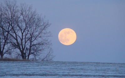 January ‘Wolf Supermoon’: How to see the full moon rise with Jupiter this weekend