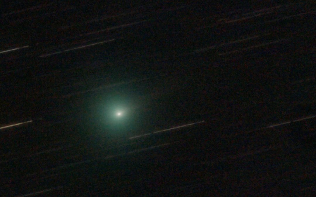 Comet 24P/Schaumasse makes its closest approach to the sun today: But will you be able to see it?