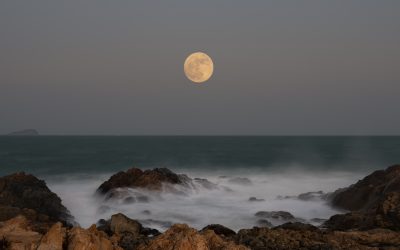 Full moons of 2026: When to see all 13 moons rise next year