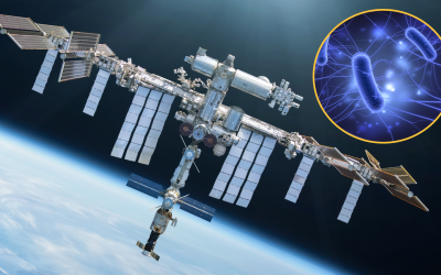 Viruses that evolved on the space station and were sent back to Earth were more effective at killing bacteria
