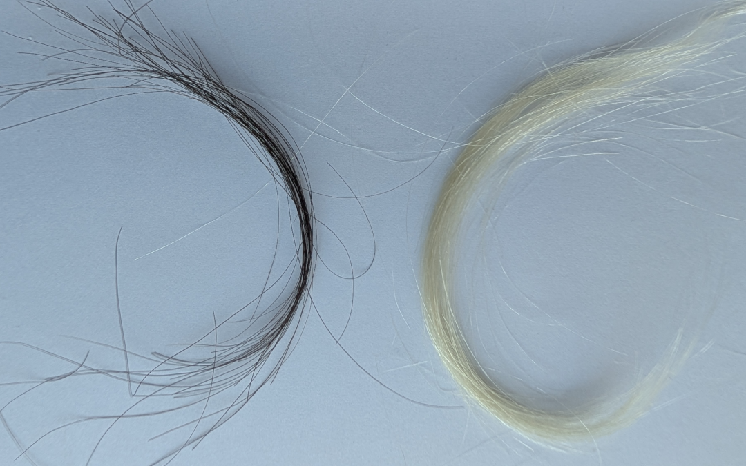 Preserved hair reveals just how bad lead exposure was in the 20th century