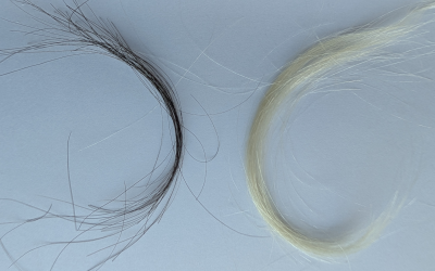 Preserved hair reveals just how bad lead exposure was in the 20th century