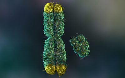 Many men lose their Y chromosomes as they age. It may shorten their lives.