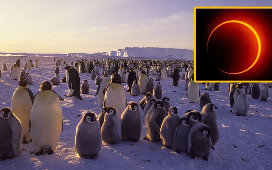 Lucky few to see ‘ring of fire’ solar eclipse over Antarctica on Feb. 17