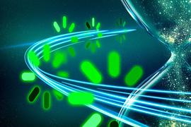 New method could increase LLM training efficiency