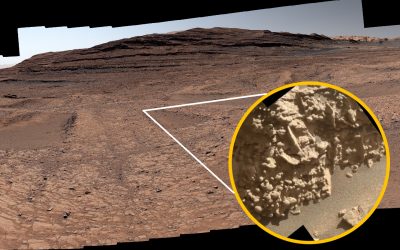 Giant ‘spiderwebs’ on Mars contain tiny egg-like structures that scientists ‘can’t quite explain,’ NASA rover reveals