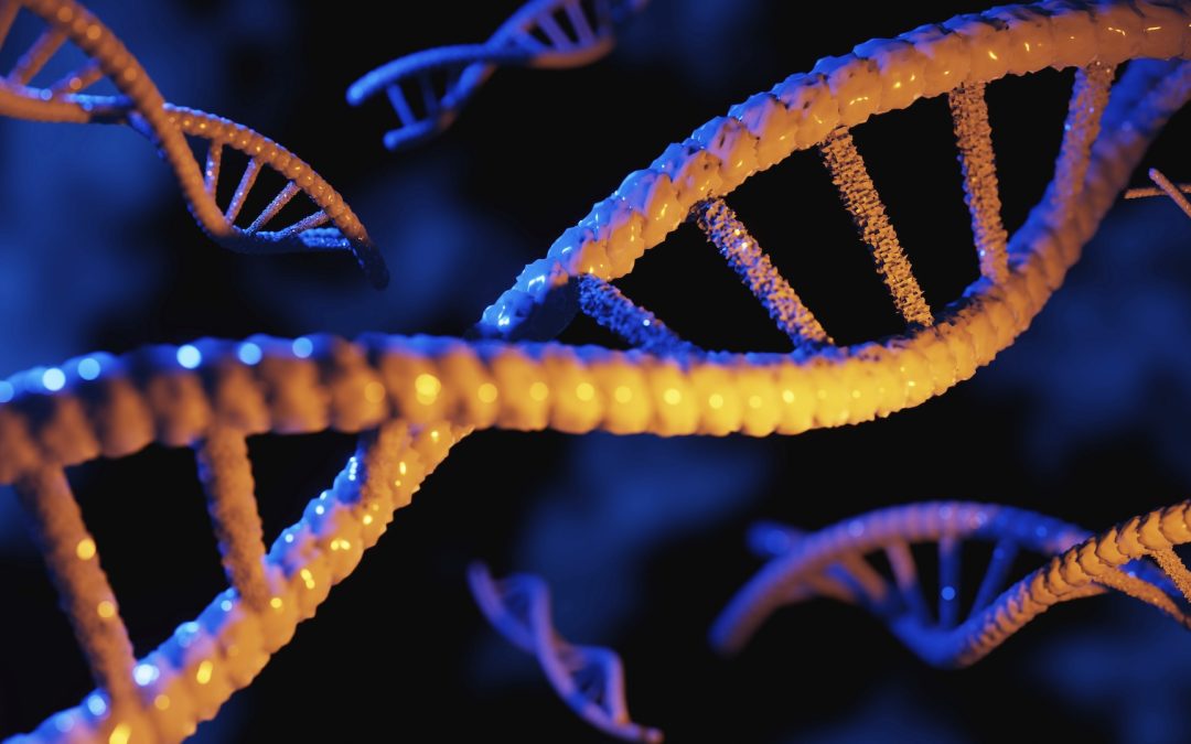 ‘Some of them have accuracy that’s close to zero’: Experts unpack the promise and pitfalls of genetic tests aimed at consumers