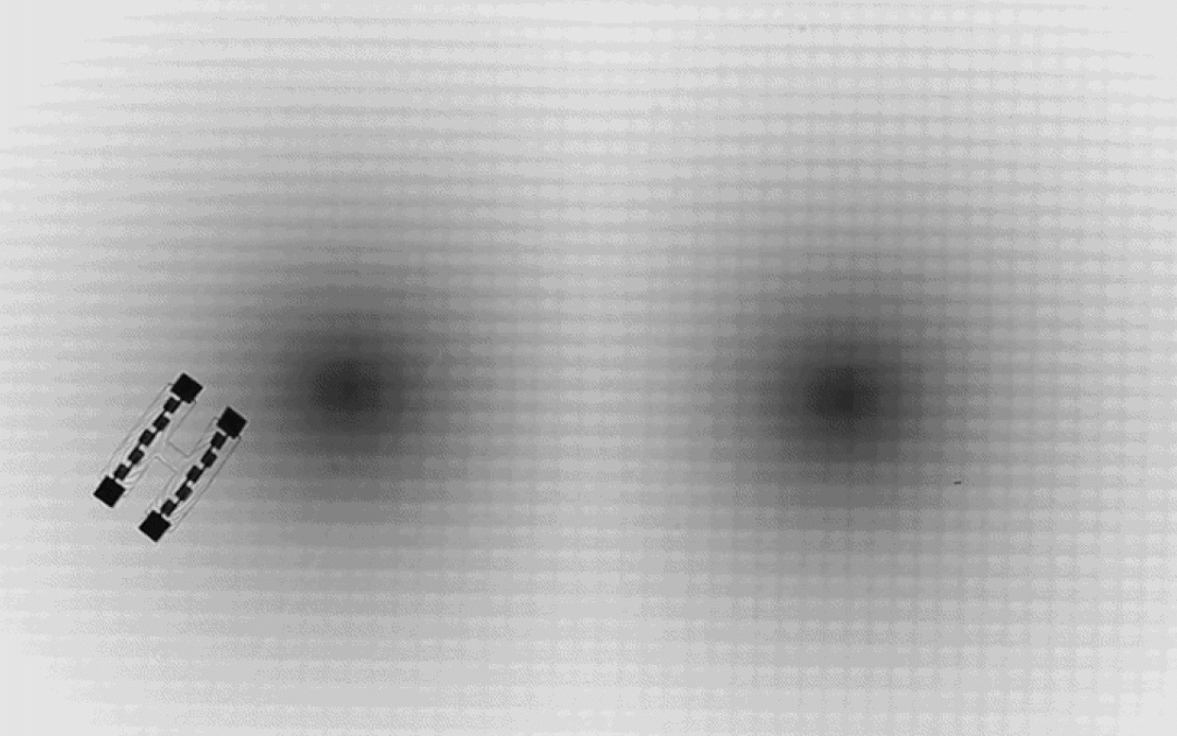Scientists taught robots to swim through mazes using Einstein’s relativity