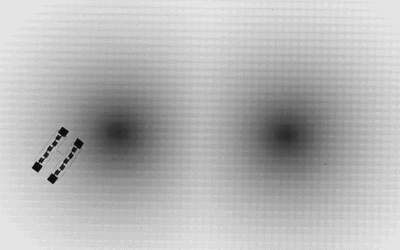 Scientists taught robots to swim through mazes using Einstein’s relativity