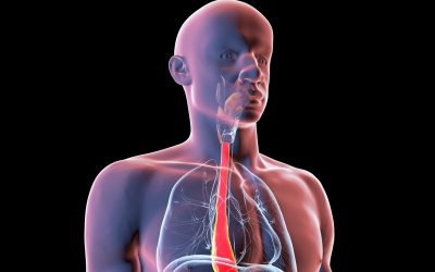 Making a ‘digital twin’ of yourself could revolutionize future surgeries, making medical procedures much more personal