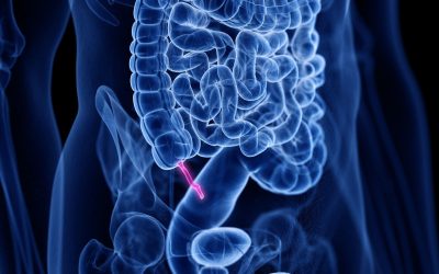 The appendix evolved at least 32 times across 361 species, so it’s ‘unlikely to be a useless evolutionary accident,’ research finds